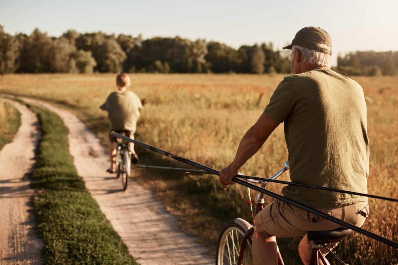 Instagram, blessures, poursuites et agrotourisme : l'Ontario légifère